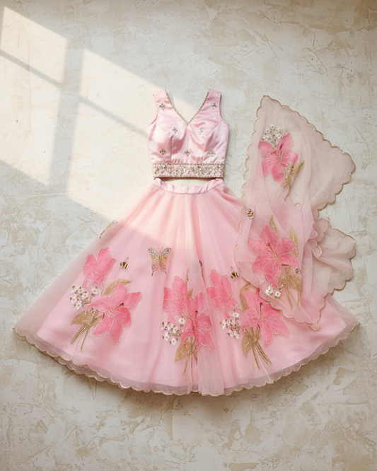 Handpainted Blush Butterfly Lehenga Set