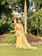 Handpainted Rose Garden Organza Saree