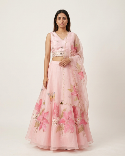 Handpainted Blush Butterfly Lehenga Set